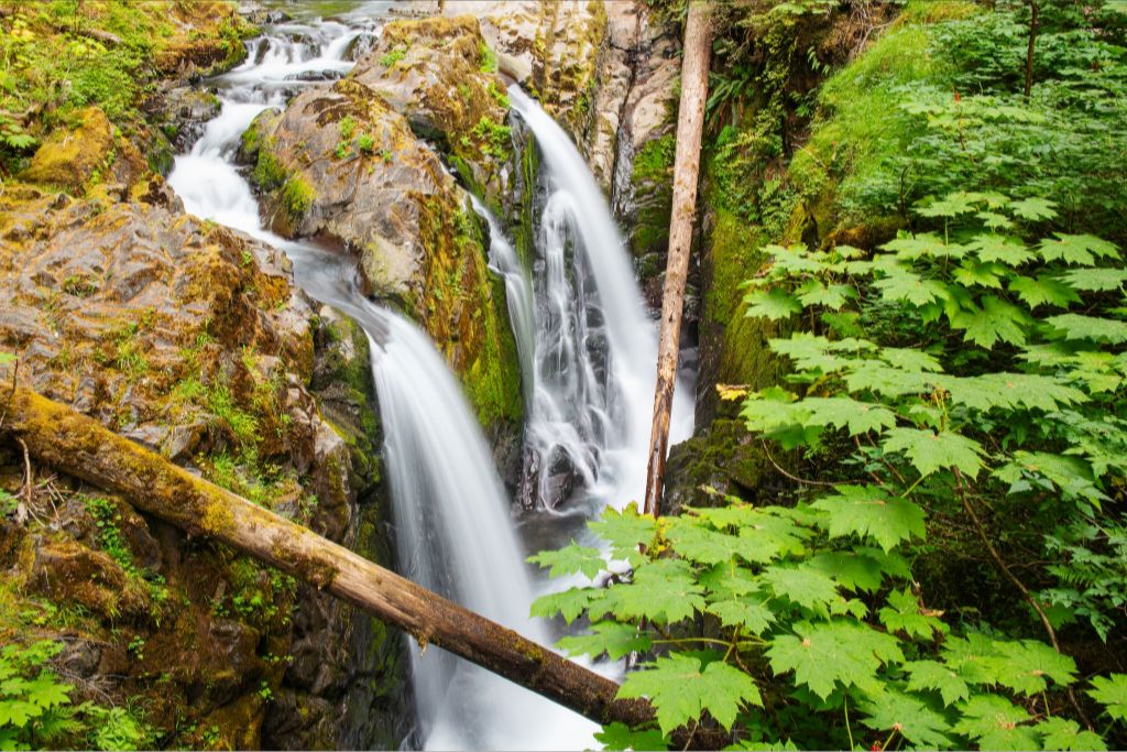 Sol Duc Falls, Olympic National Park