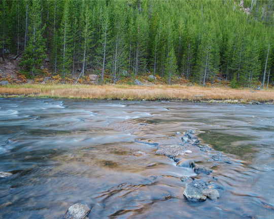 Yellowstone River