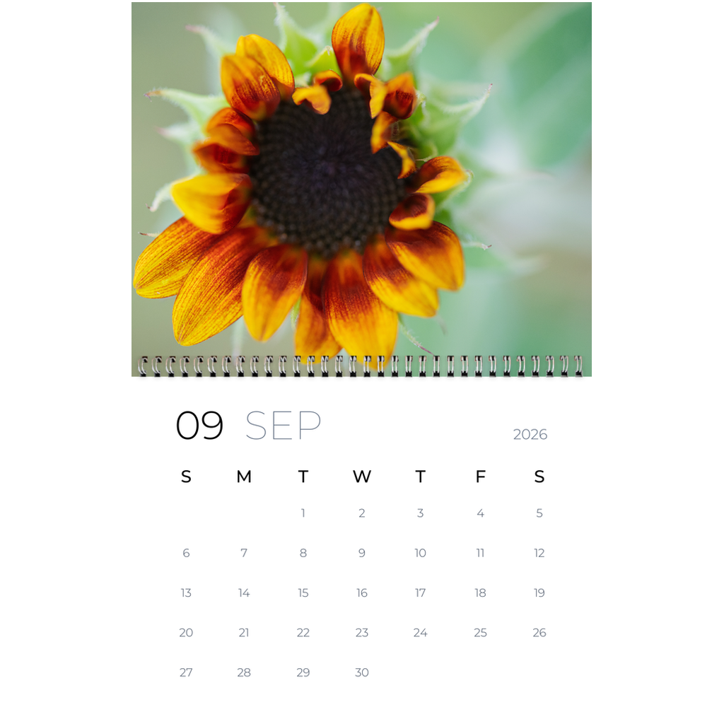 generated-preview-11