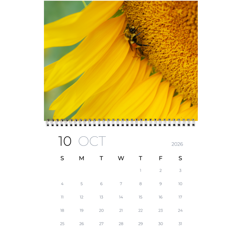 generated-preview-12