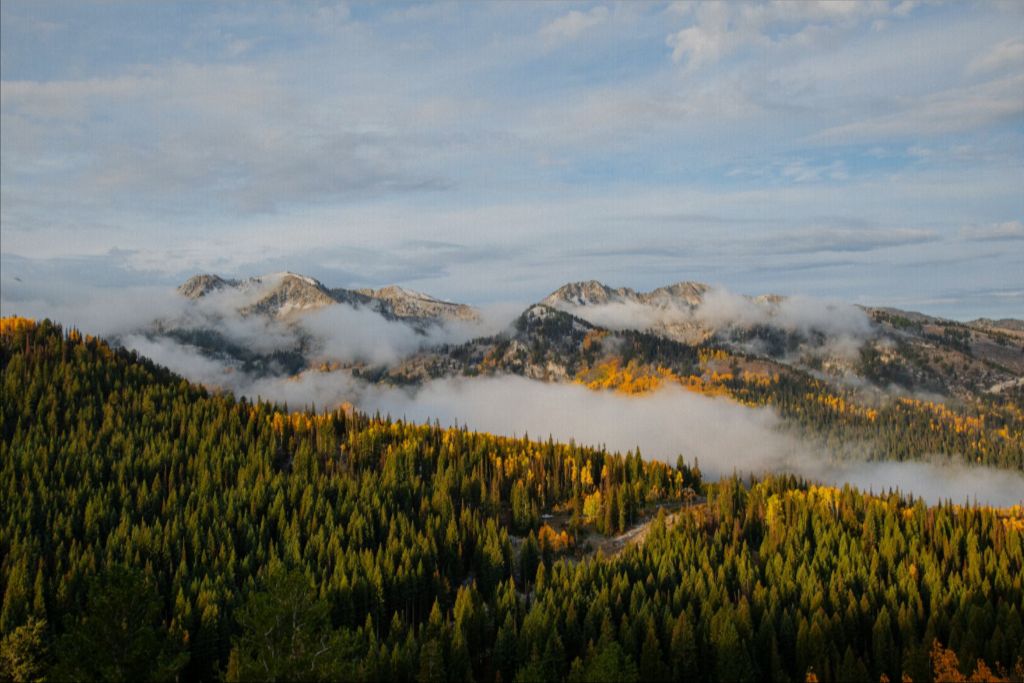 Misty Mountains Horizontal