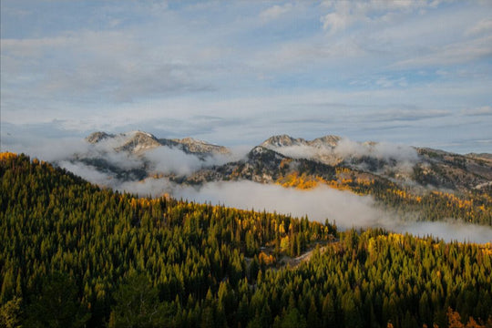 Misty Mountains Horizontal