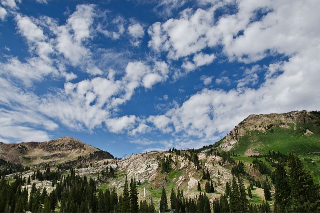 Summer on the Slopes