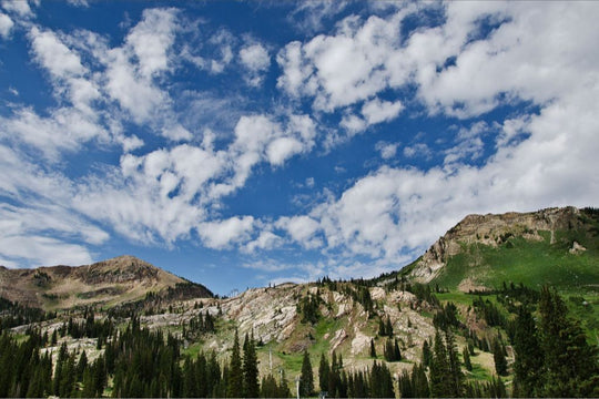 Summer on the Slopes