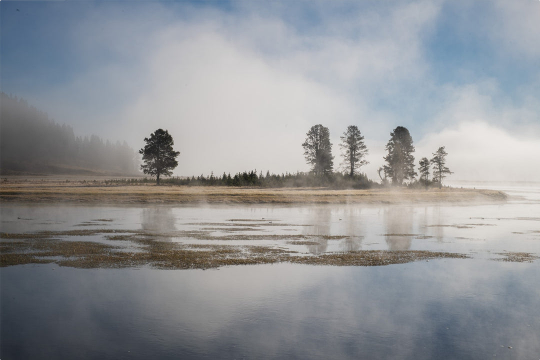 Yellowstone National Park in the morning