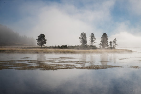 Yellowstone National Park in the morning