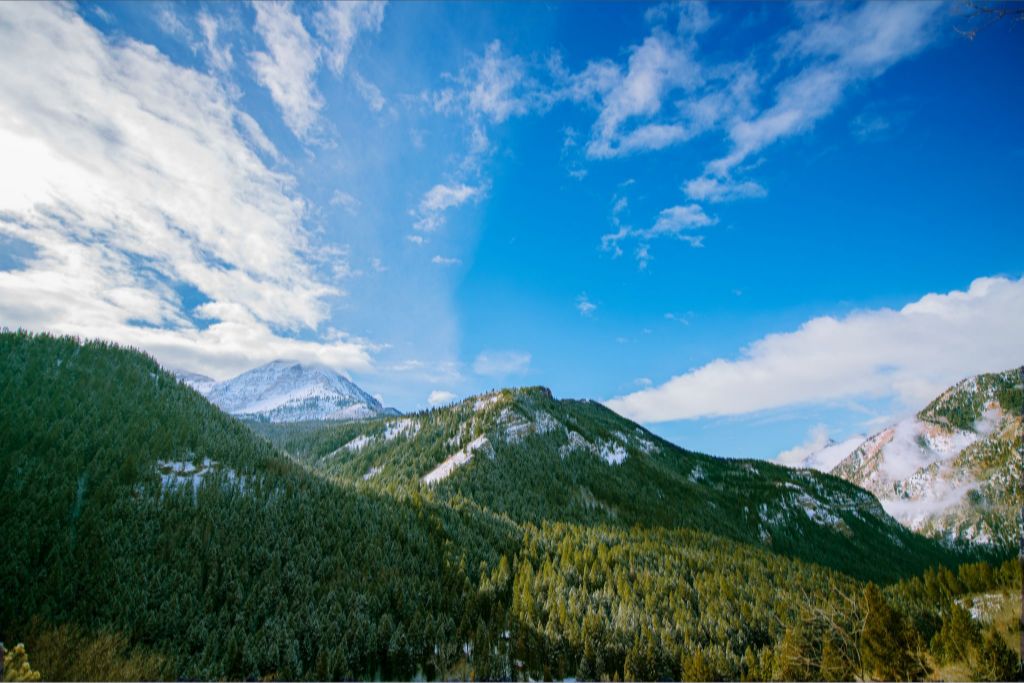 Winter in the Mountains
