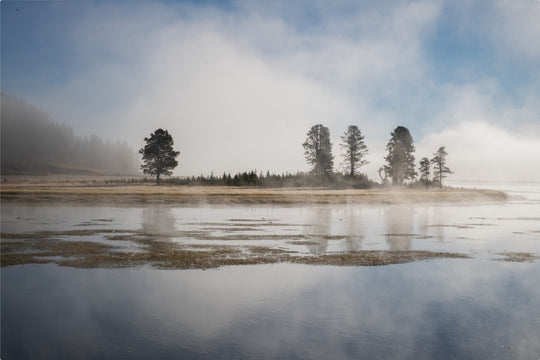 Yellowstone National Park in the morning