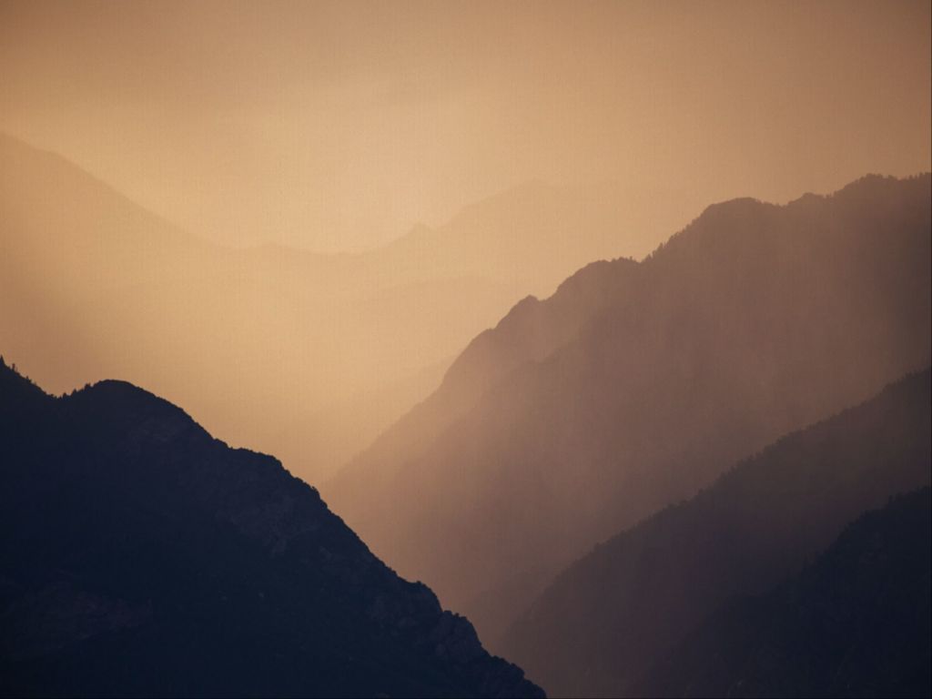 Orange Layered Mornings