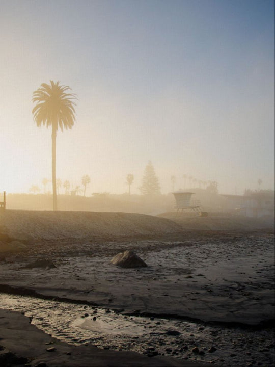 Moonlight Beach at Sunrise - San Diego