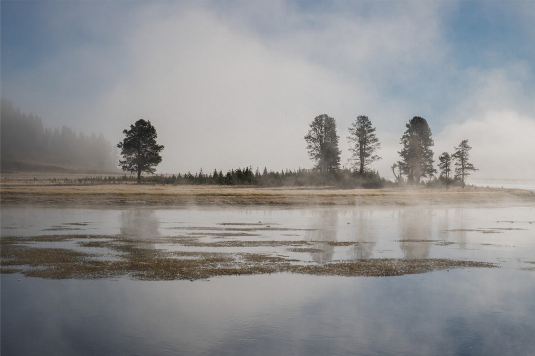 Yellowstone National Park in the morning