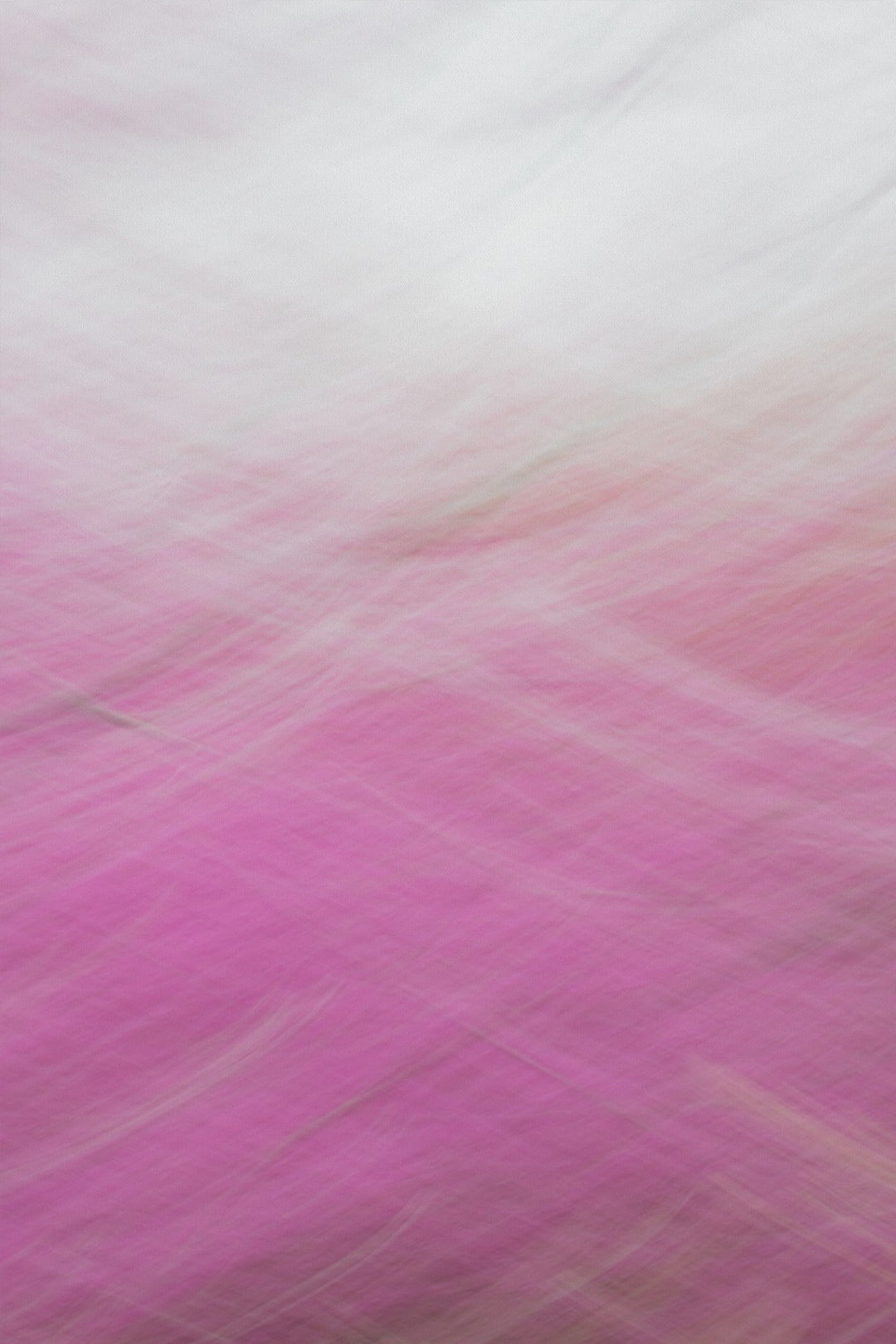 Redbud Swoosh