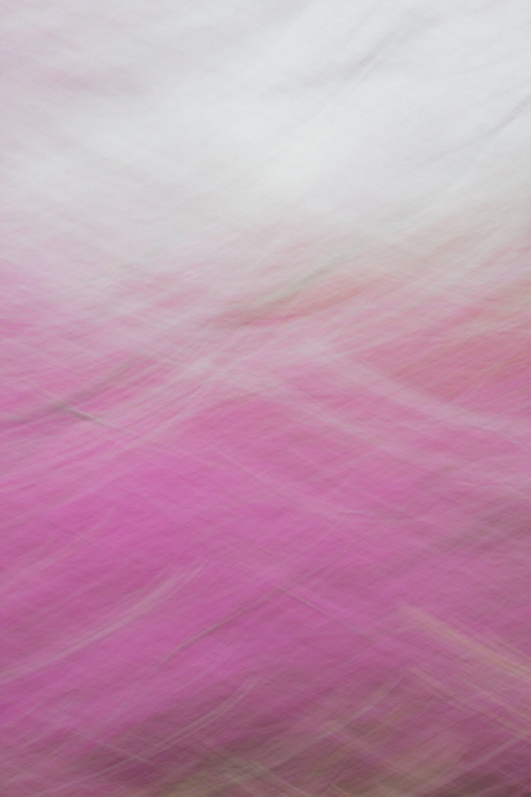 Redbud Swoosh