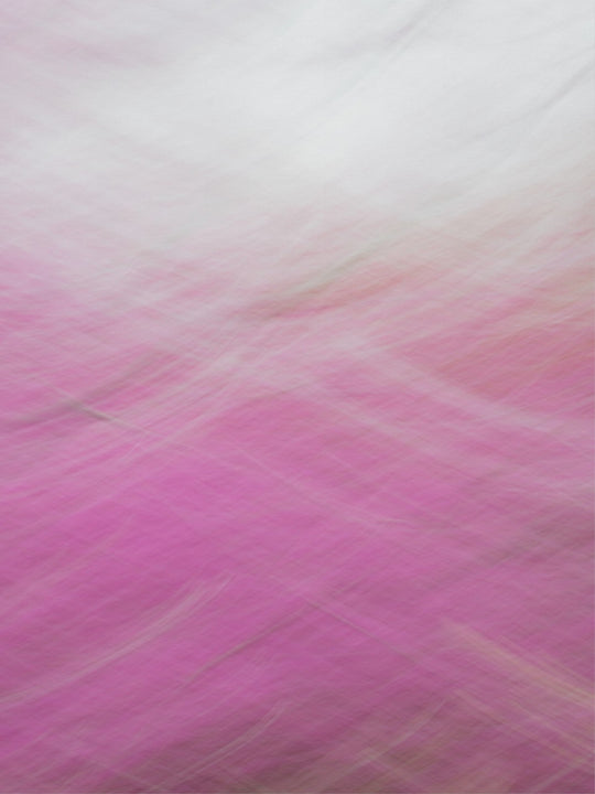 Redbud Swoosh