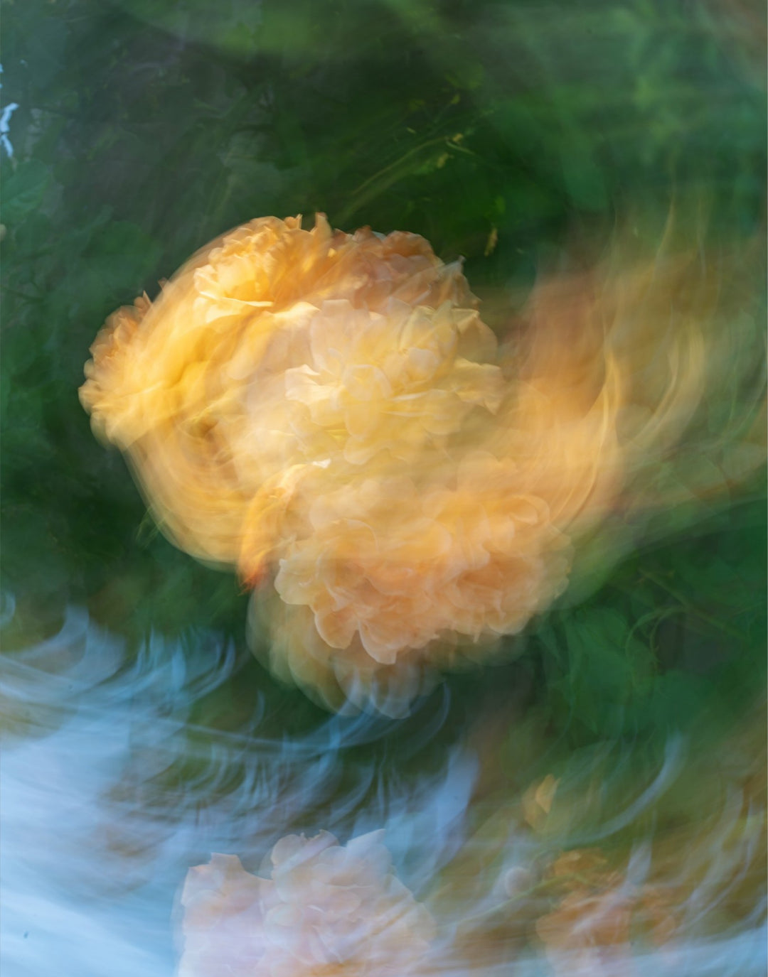 Emotional Rose