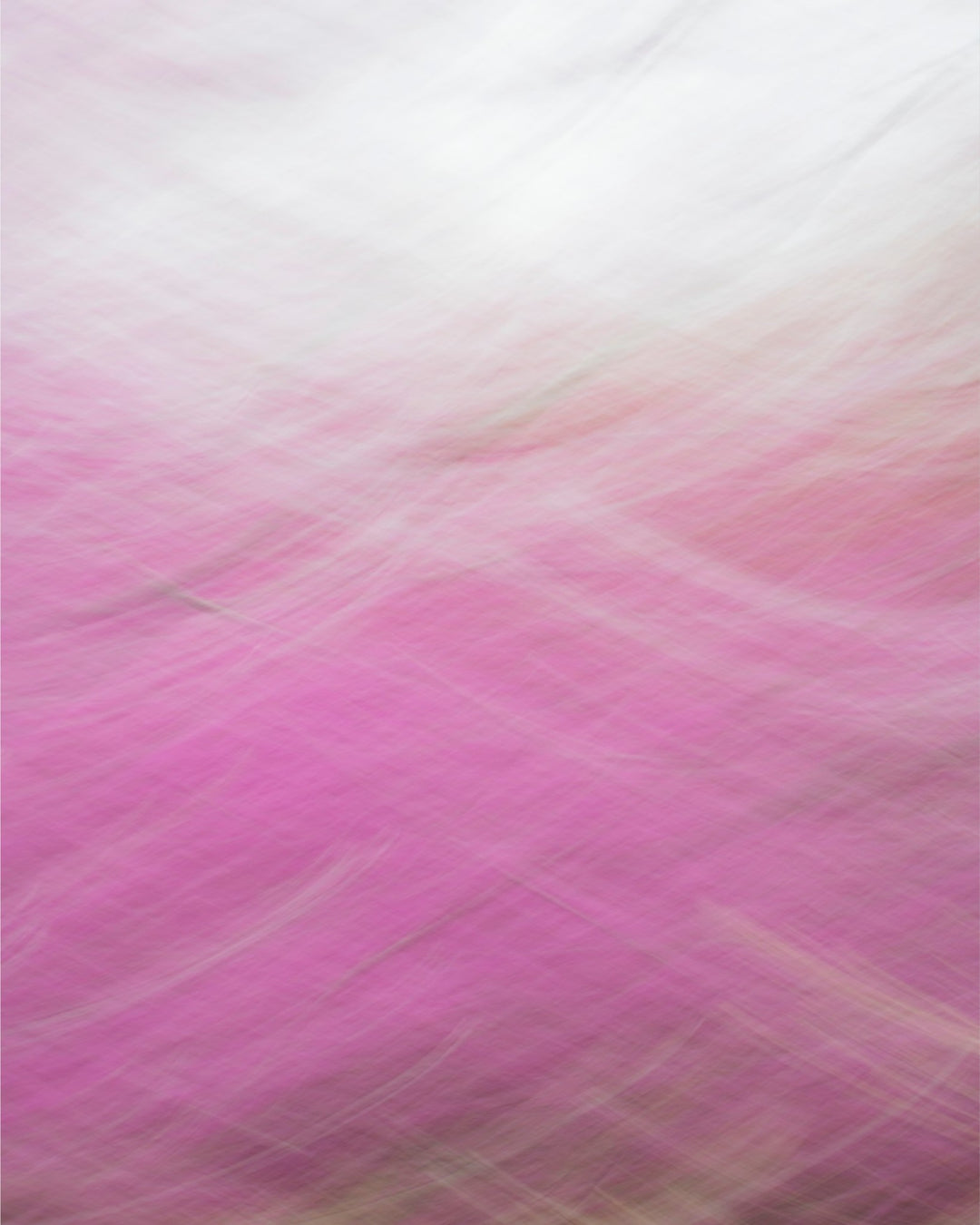 Redbud Swoosh