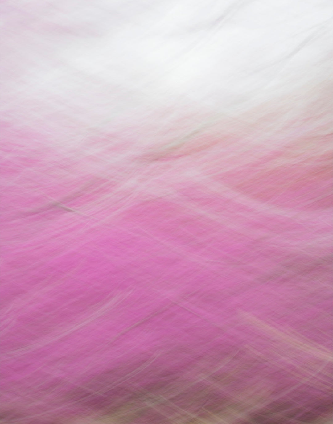 Redbud Swoosh