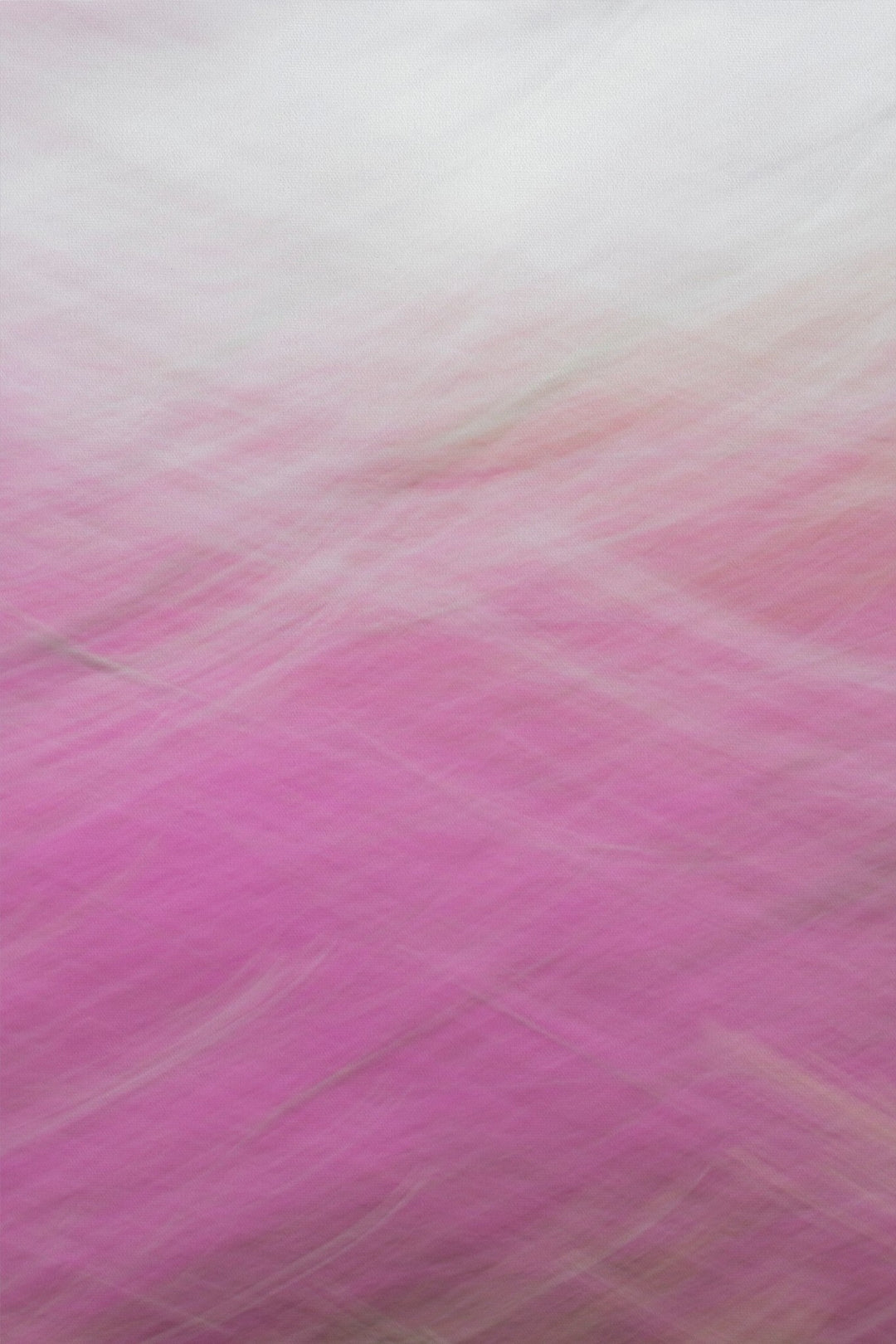 Redbud Swoosh