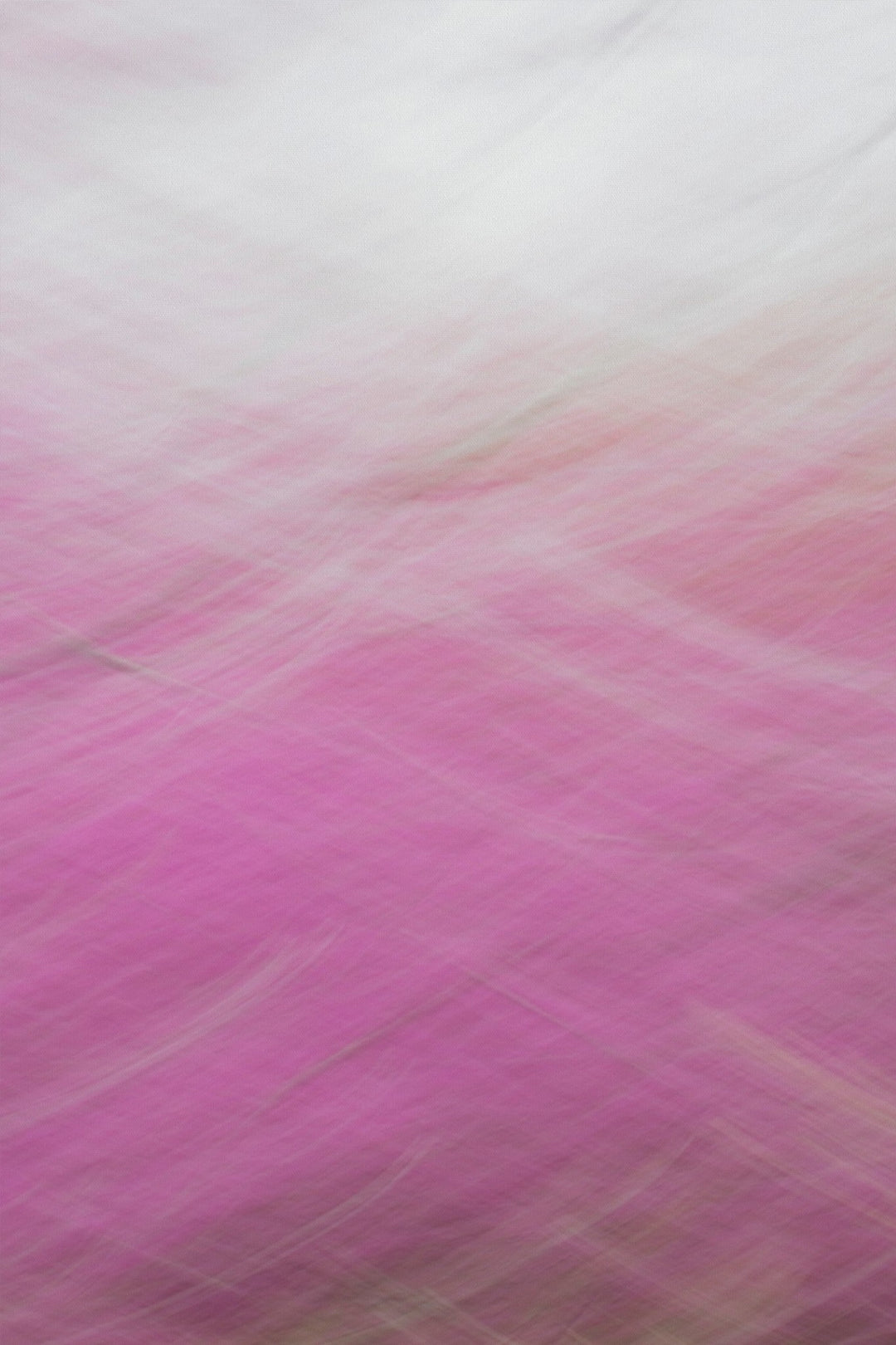 Redbud Swoosh