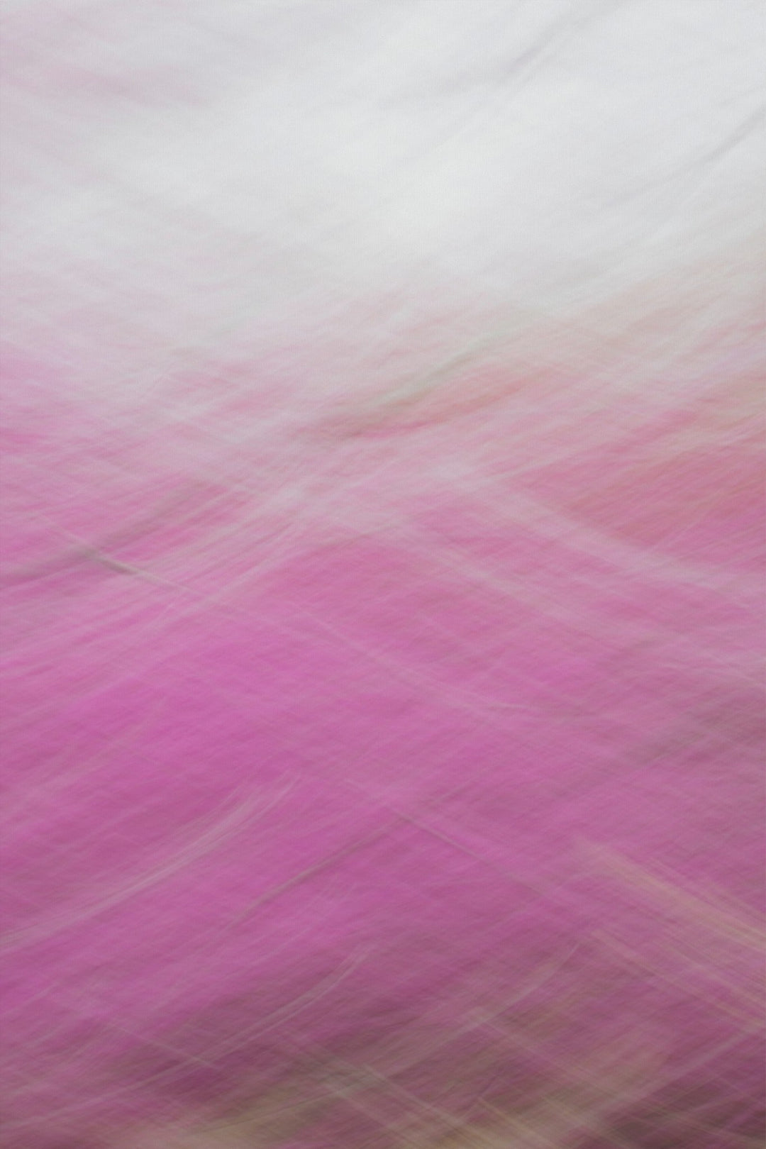 Redbud Swoosh