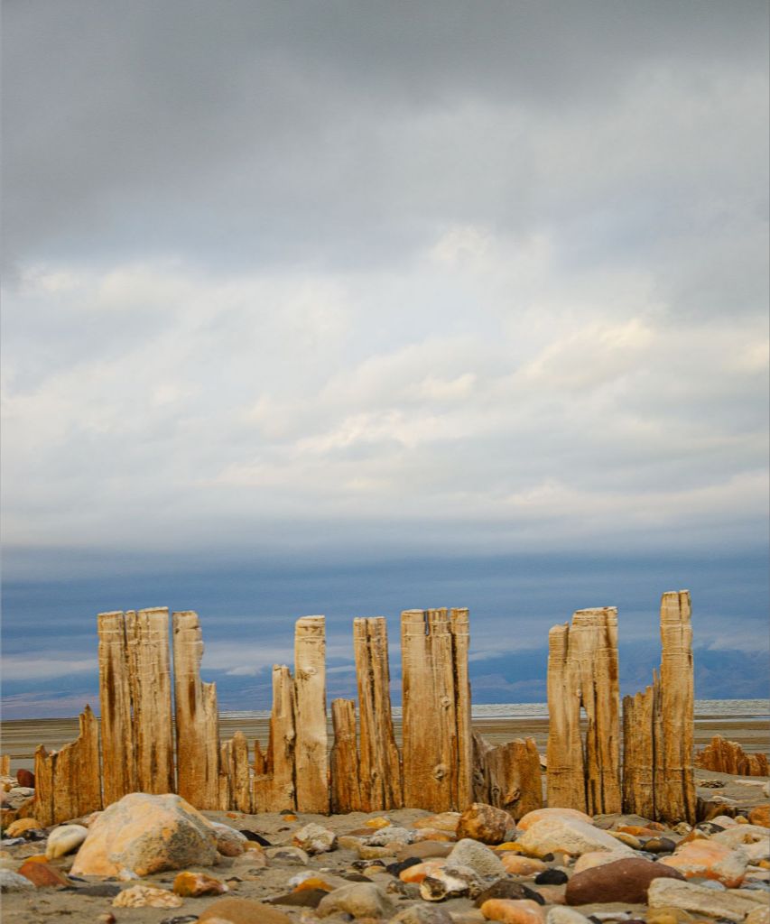 Piles at shores edge, The Great Salt Lake