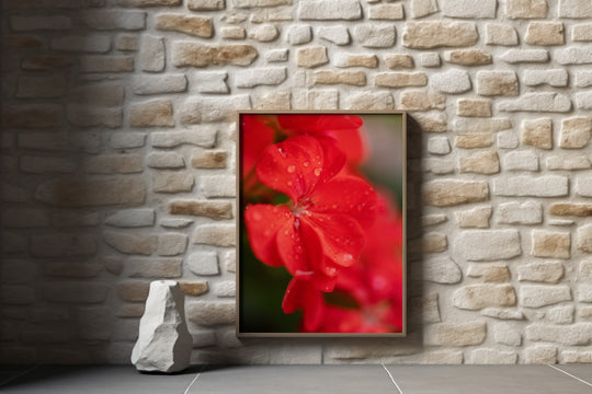 Karen - Red Geranium