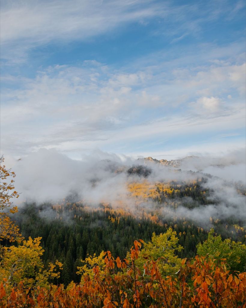 Misty Mountains Vertical