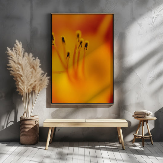 Zuzu - Day Lily - Abstract