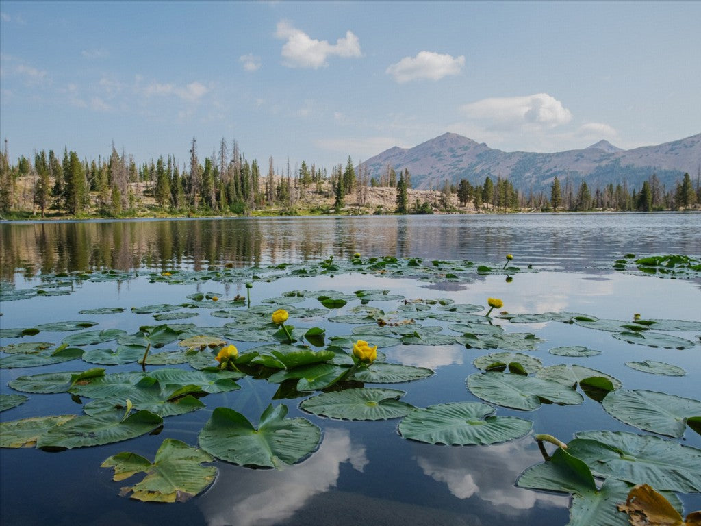 Ruth Lake