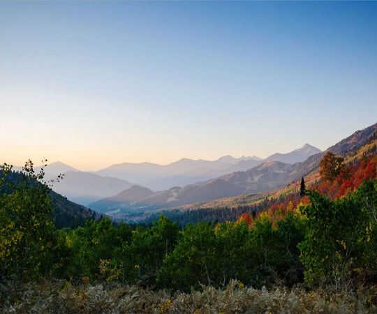 Autumn Mountains at Dawn