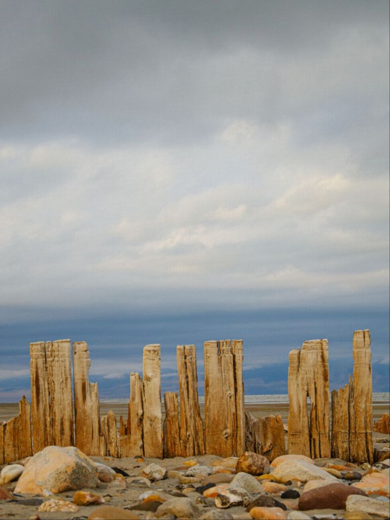 Piles at shores edge, The Great Salt Lake