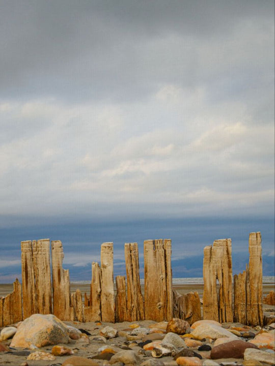 Piles at shores edge, The Great Salt Lake