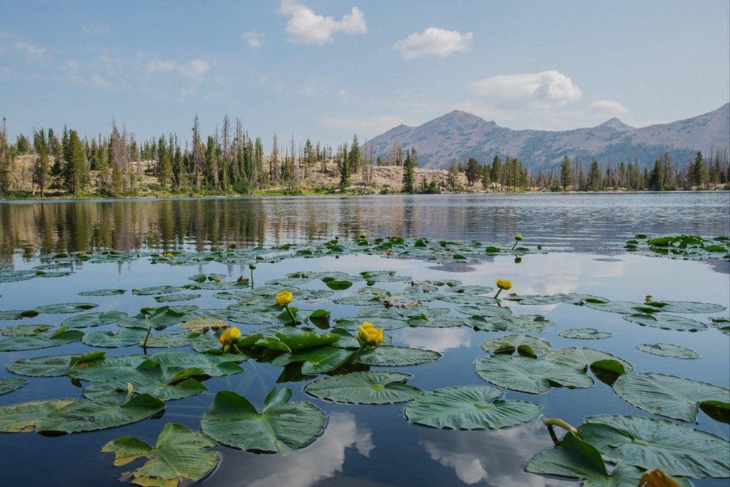 Ruth Lake