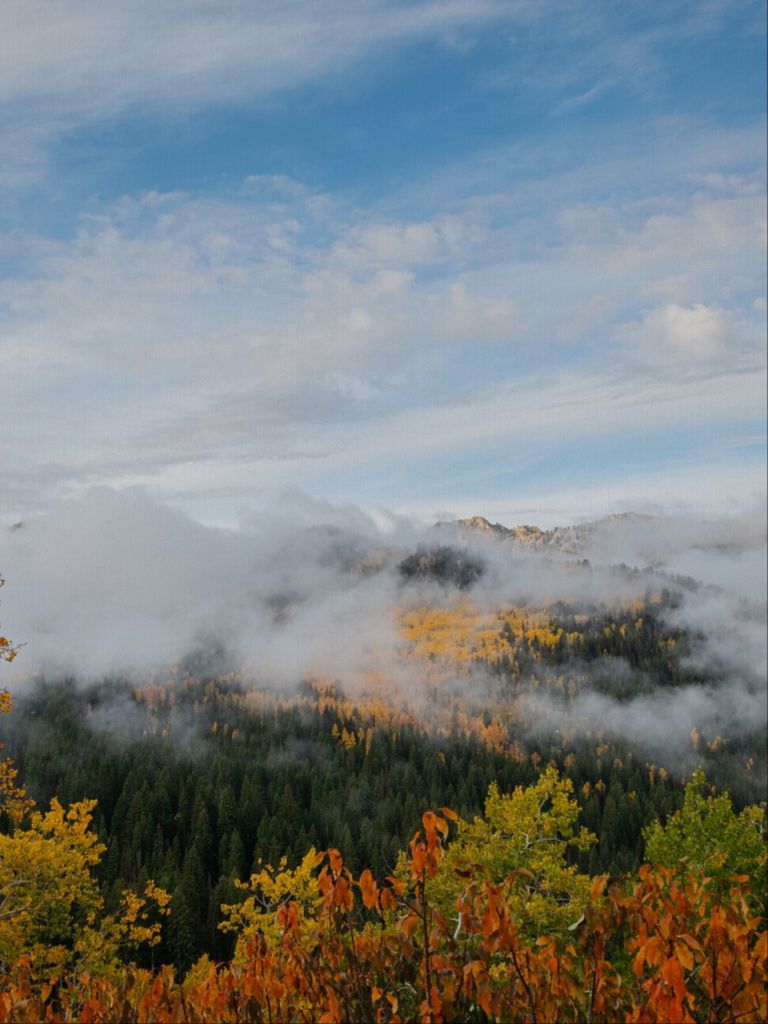 Misty Mountains Vertical