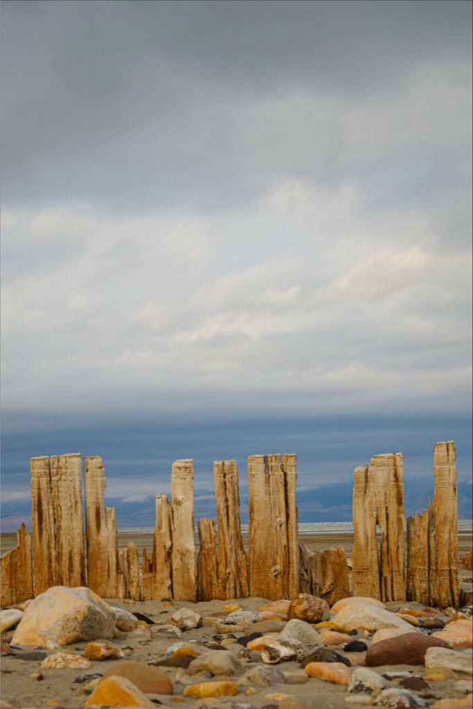 Piles at shores edge, The Great Salt Lake