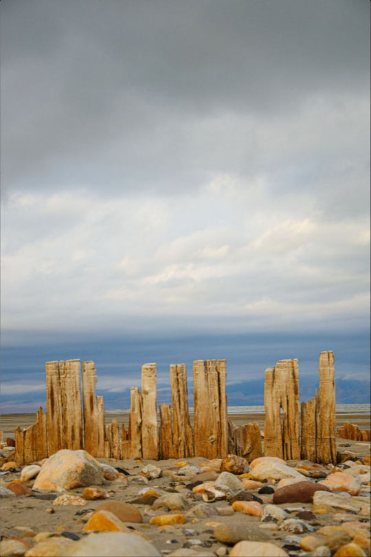 Piles at shores edge, The Great Salt Lake