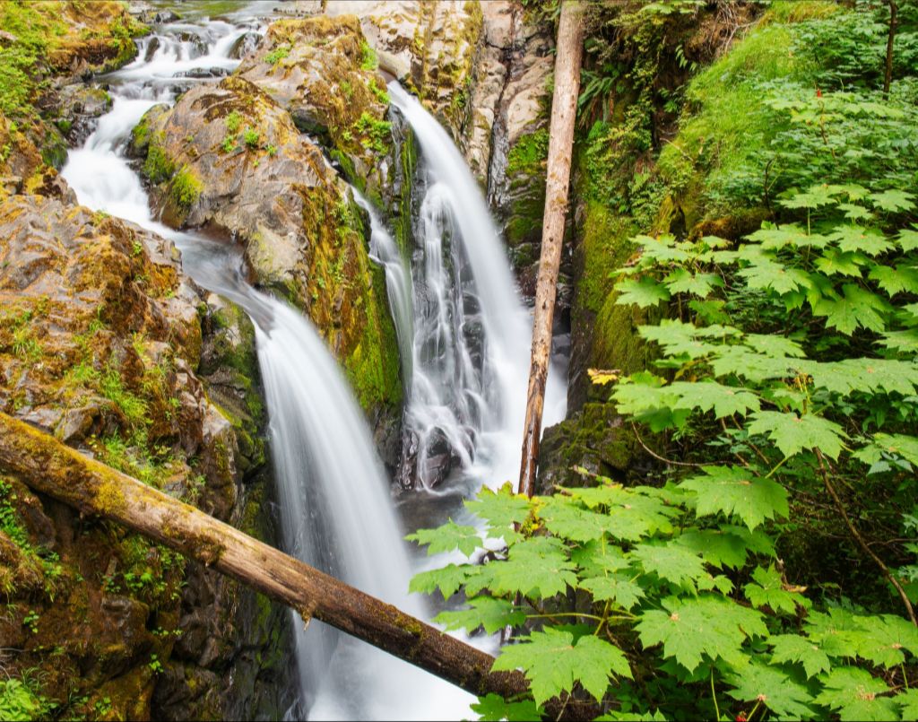 Sol Duc Falls, Olympic National Park