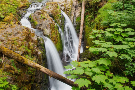 Sol Duc Falls, Olympic National Park