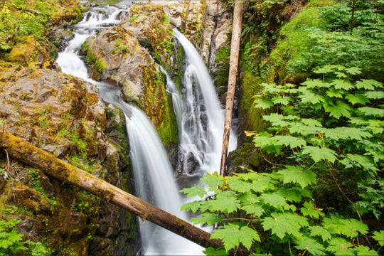 Sol Duc Falls, Olympic National Park