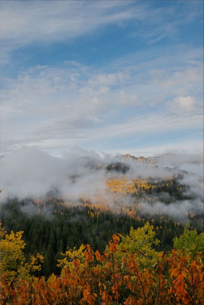 Misty Mountains Vertical