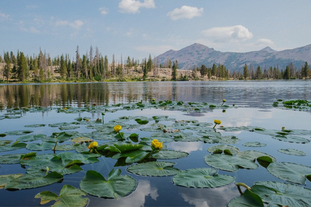 Ruth Lake