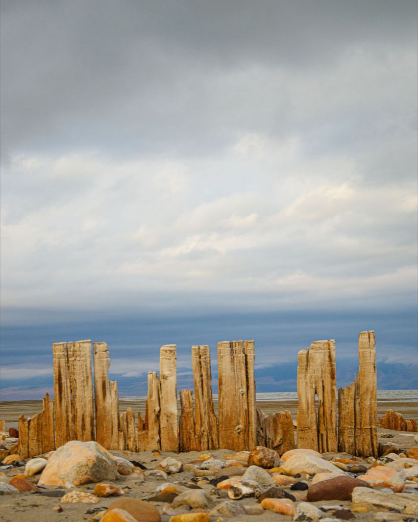 Piles at shores edge, The Great Salt Lake