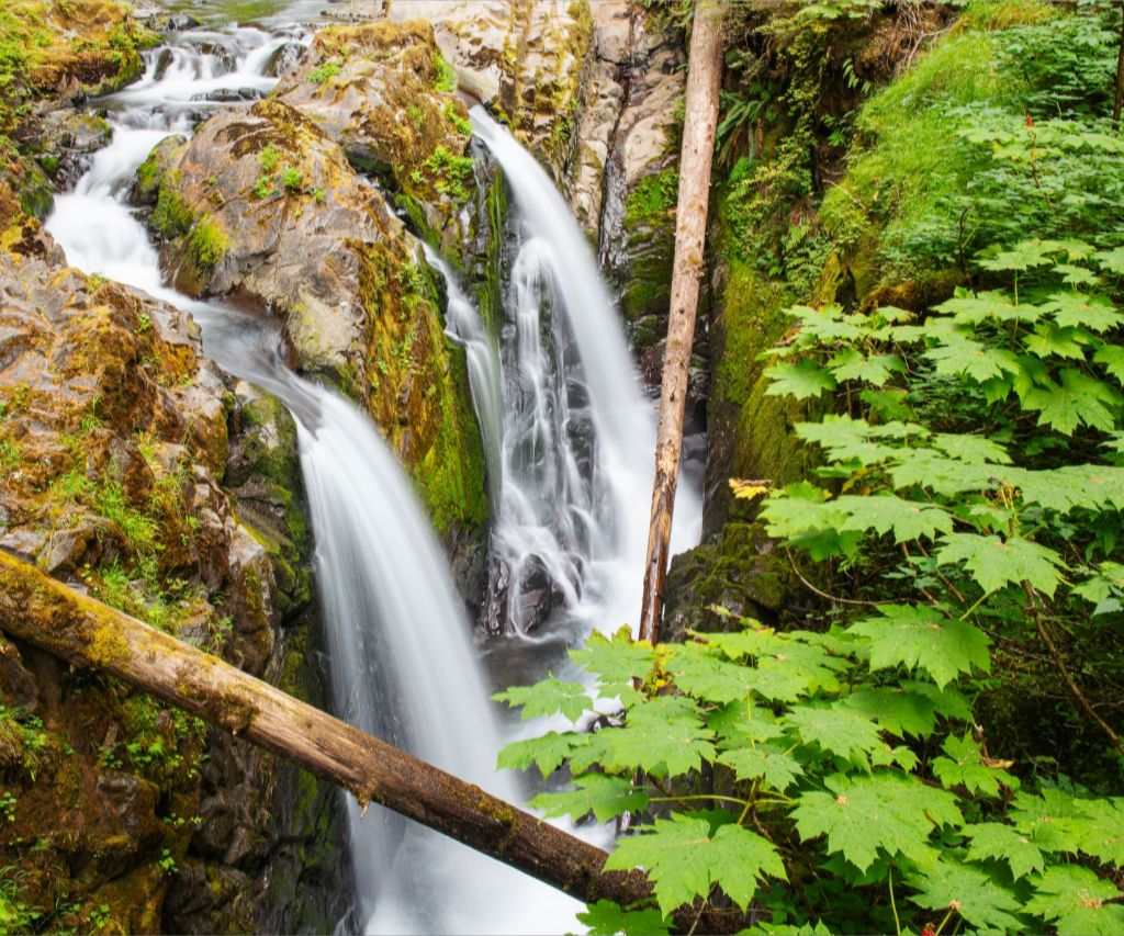 Sol Duc Falls, Olympic National Park