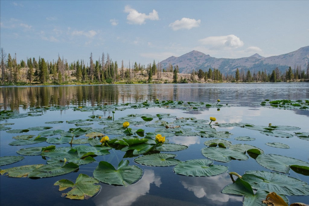 Ruth Lake