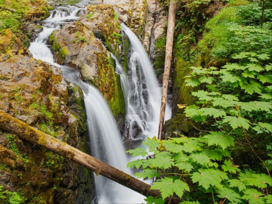 Sol Duc Falls, Olympic National Park