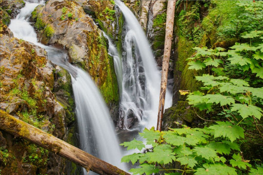 Sol Duc Falls, Olympic National Park