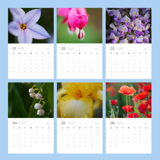 2025 Floral Wall Calendar