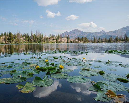 Ruth Lake