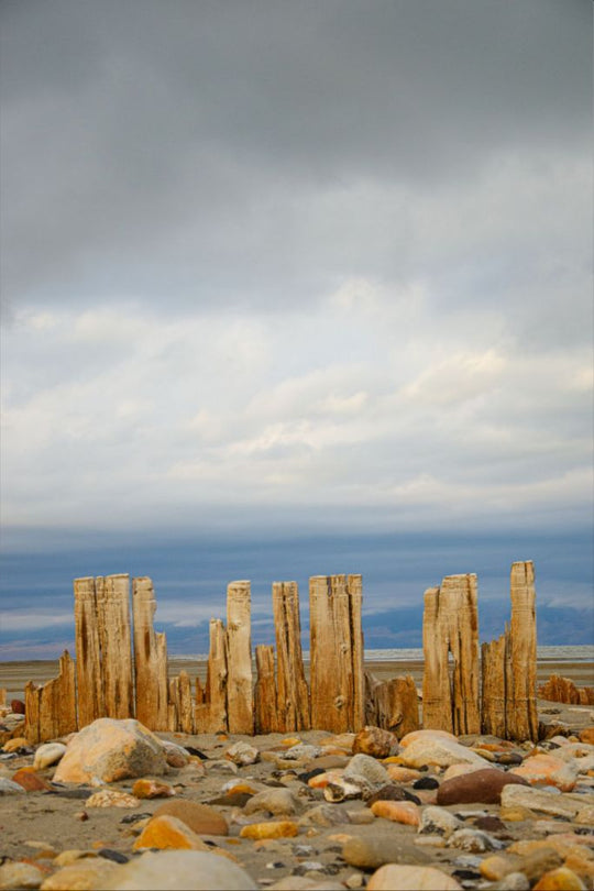 Piles at shores edge, The Great Salt Lake