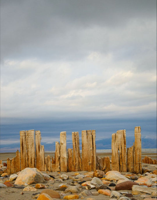 Piles at shores edge, The Great Salt Lake